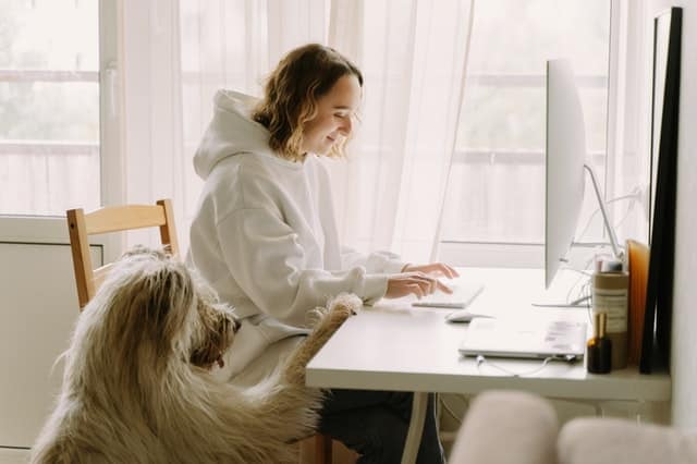 usaha rumah yang lagi trend sebagai freelancer