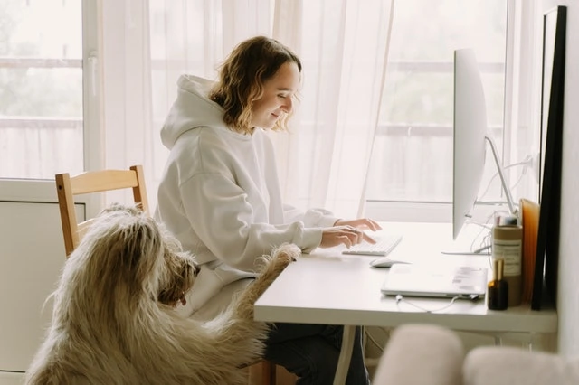 usaha rumah yang lagi trend sebagai freelancer