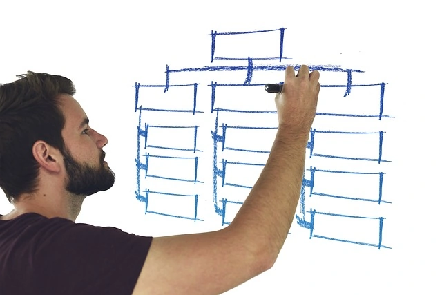 struktur organisasi fungsional