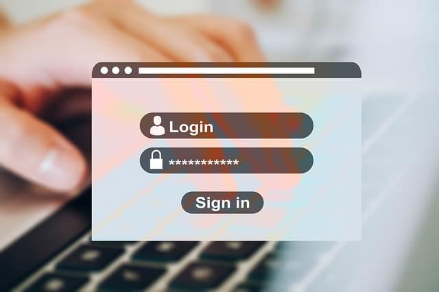 login dengan menggunakan password dan EFIN