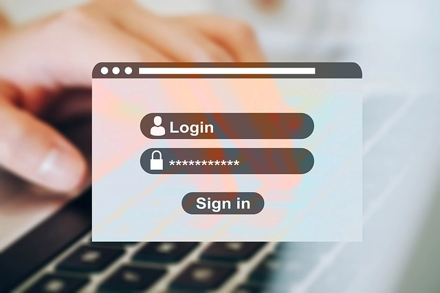 login dengan menggunakan password dan EFIN