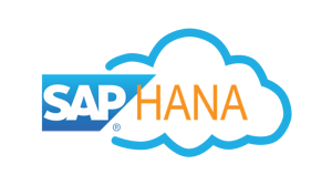 SAP Hana on cloud