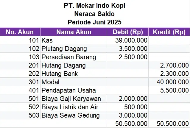 Contoh laporan keuangan neraca saldo perusahaan atau bisnis