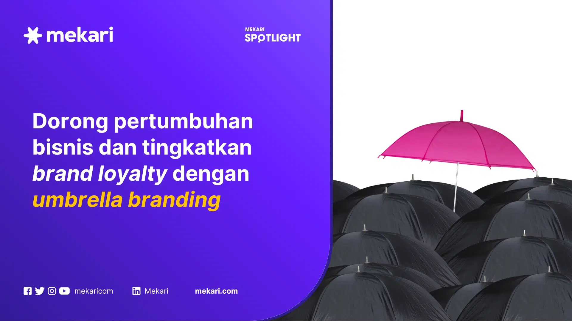 strategi umbrella branding