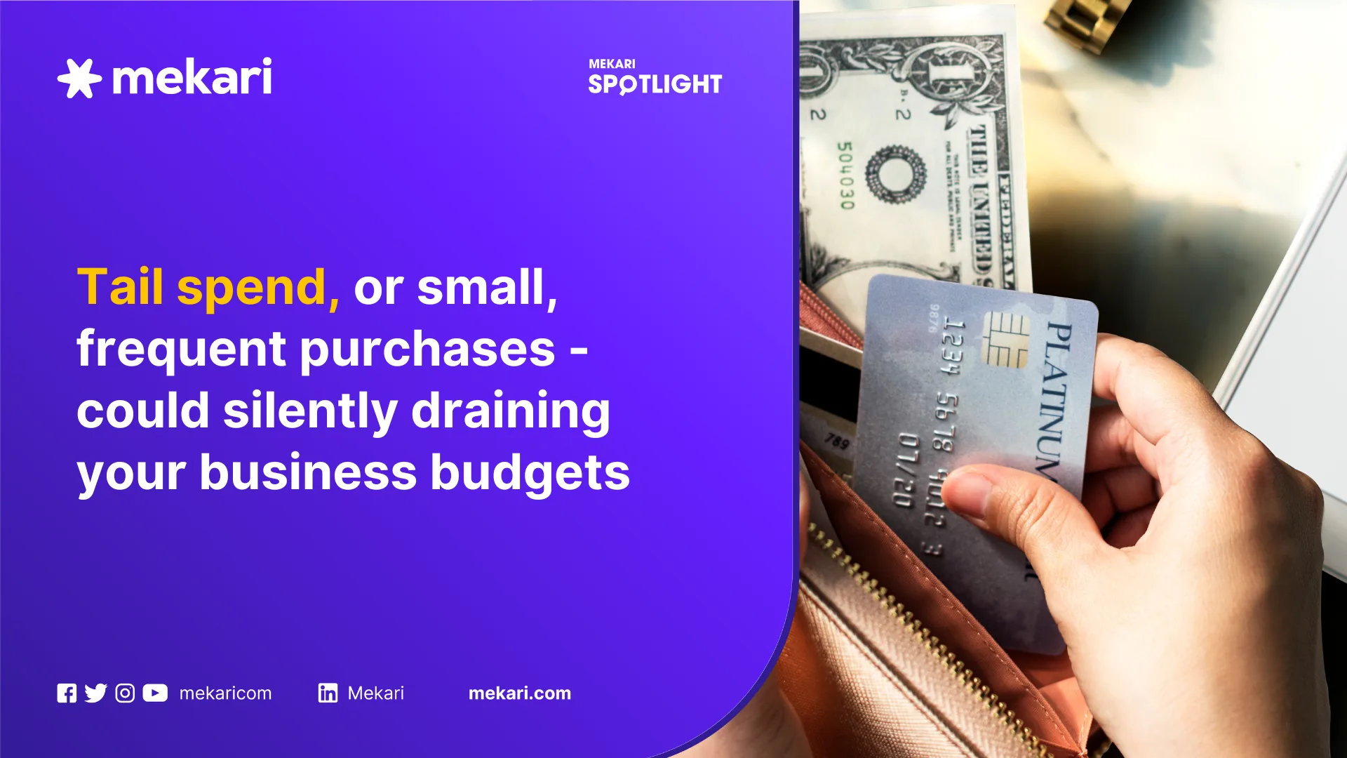 tail spend management software