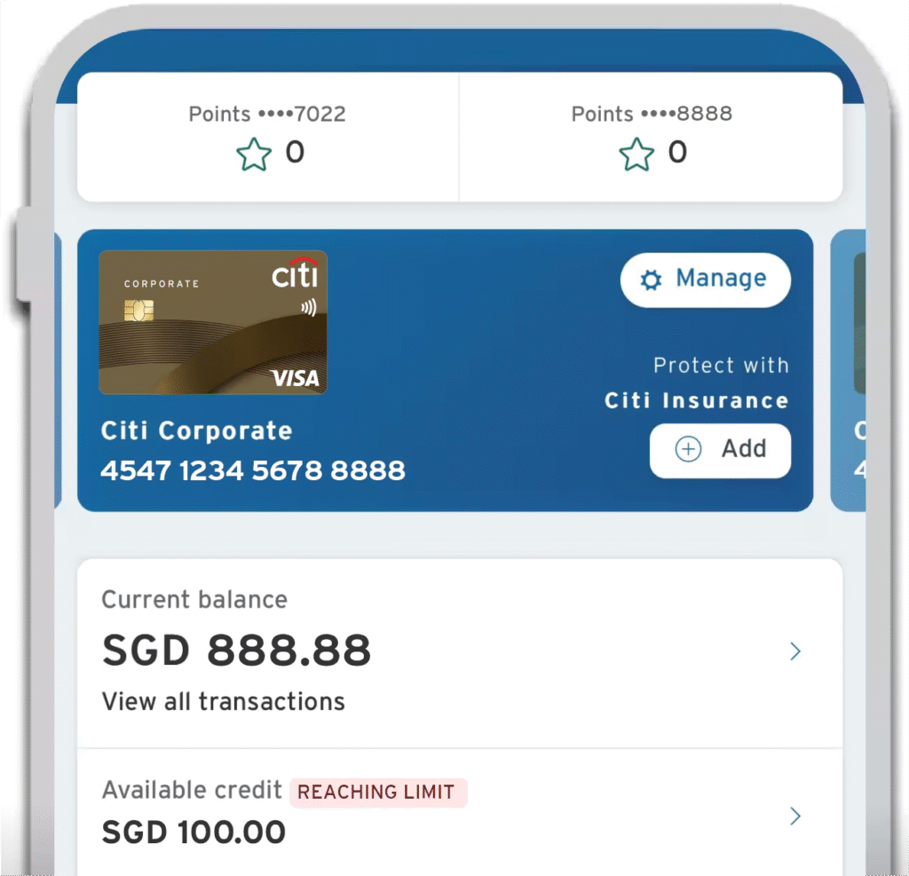 Citi Virtual Corporate Card