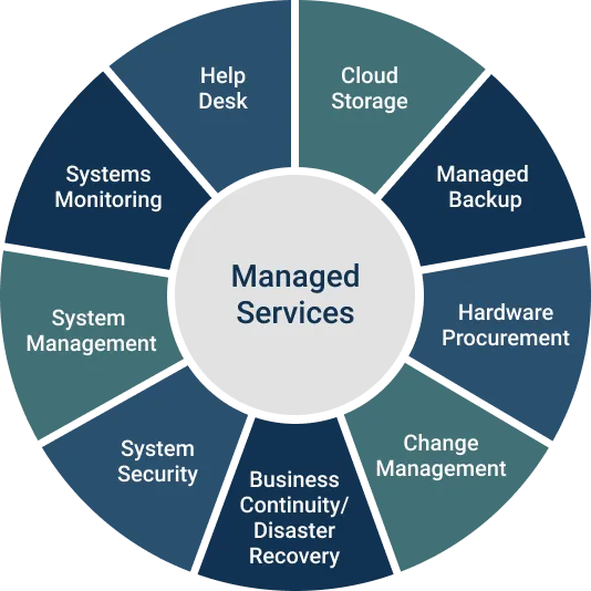 Managed Service Provider (MSP)